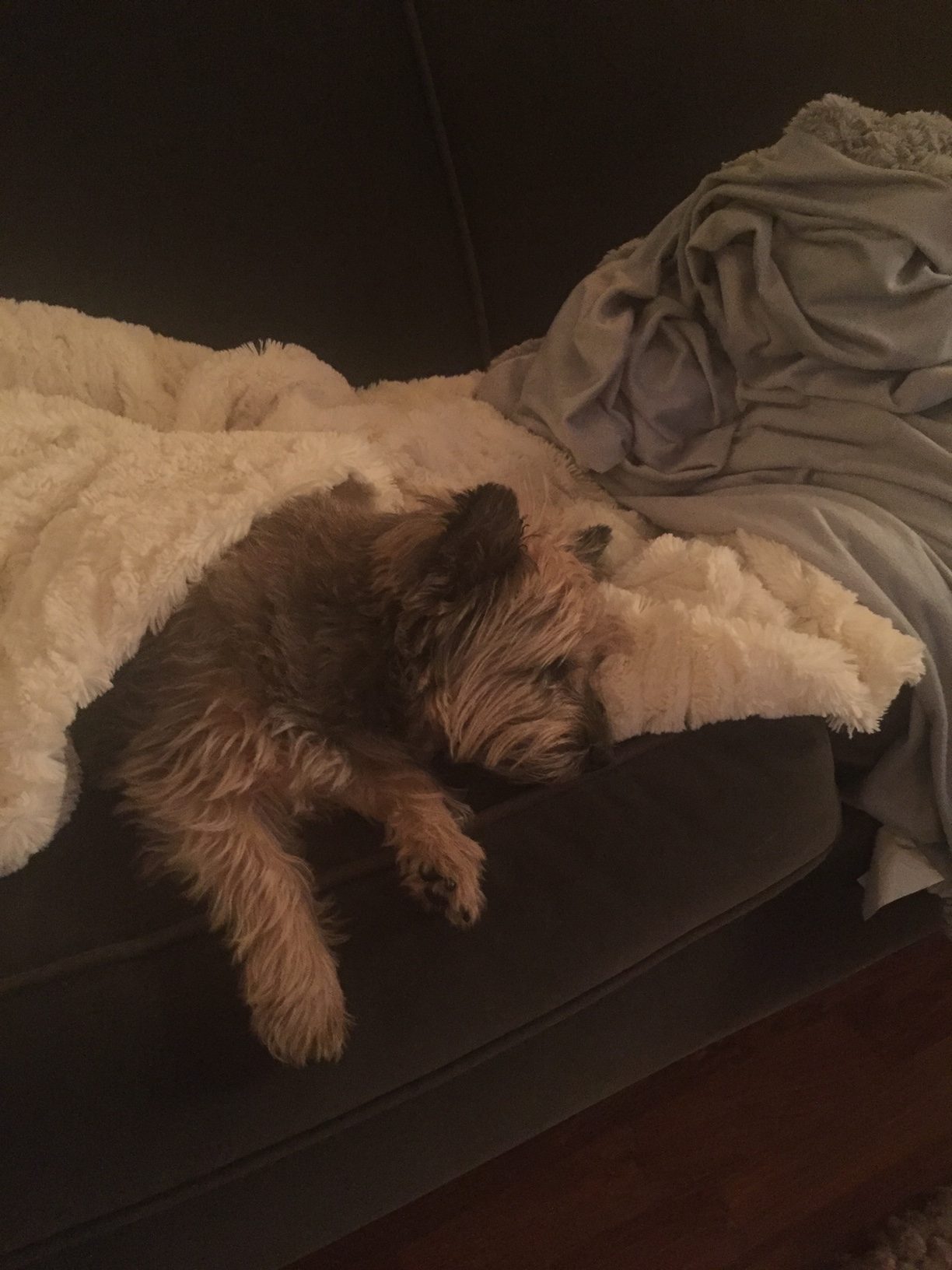 Sleep-overs