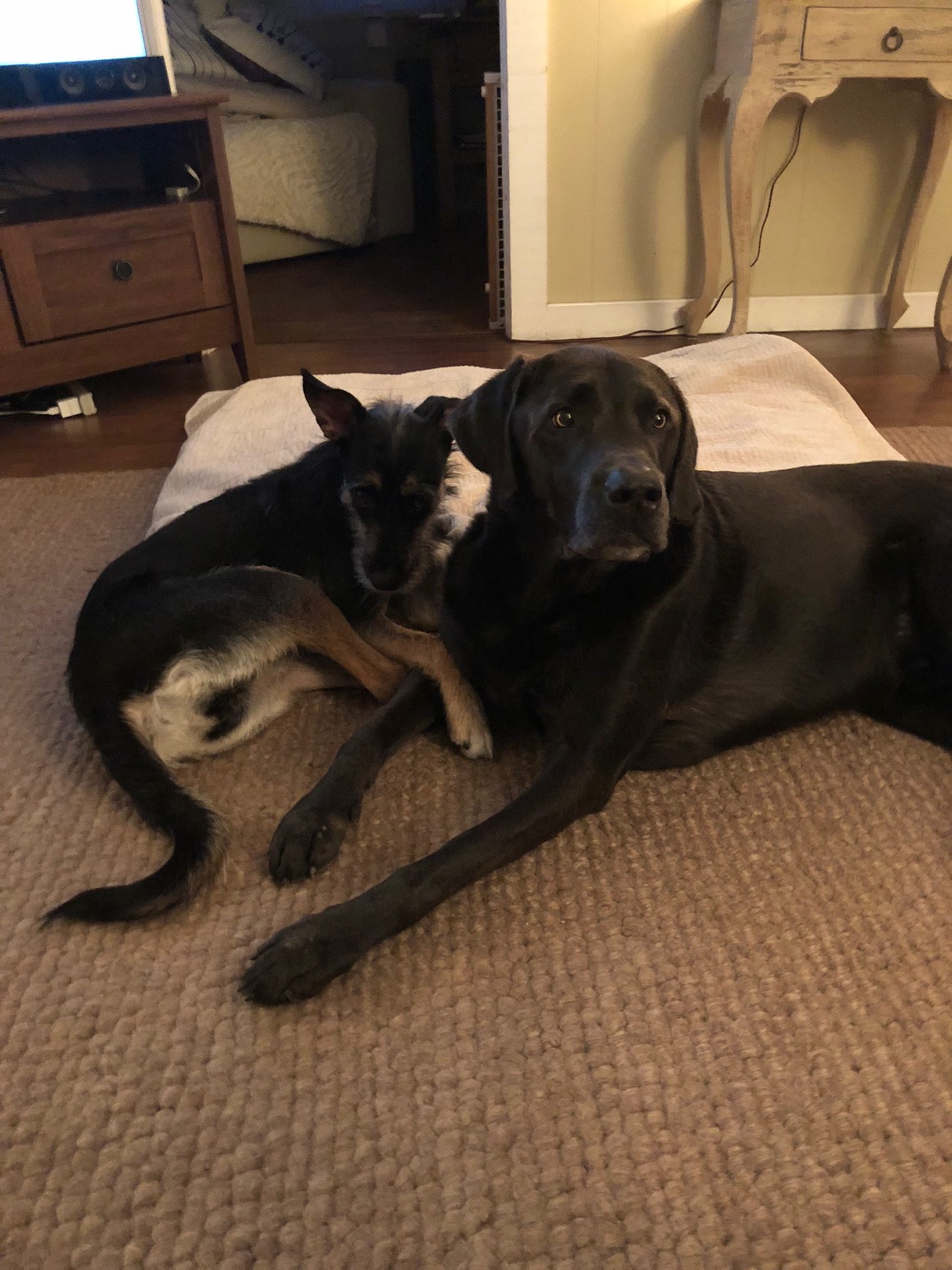 Sleep-overs
