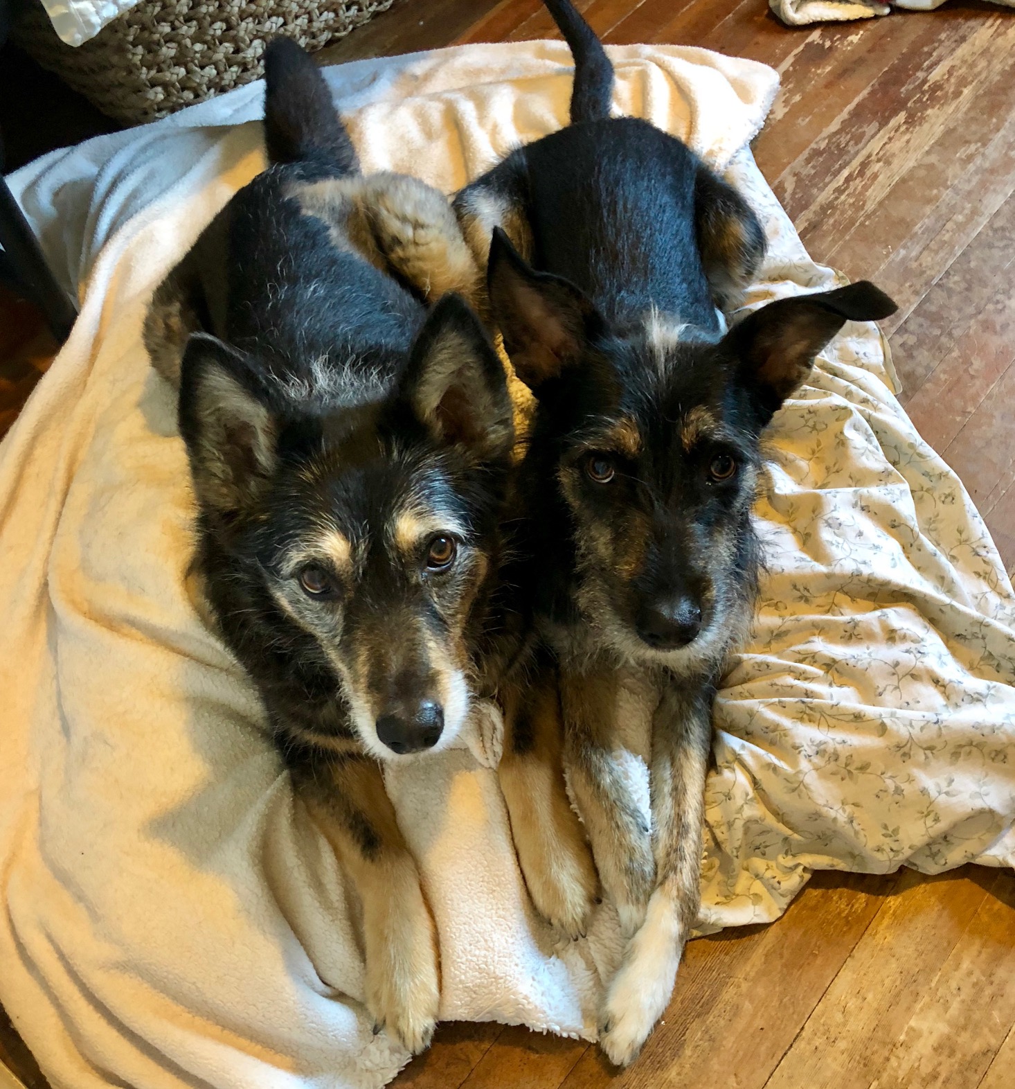 Sleep-overs