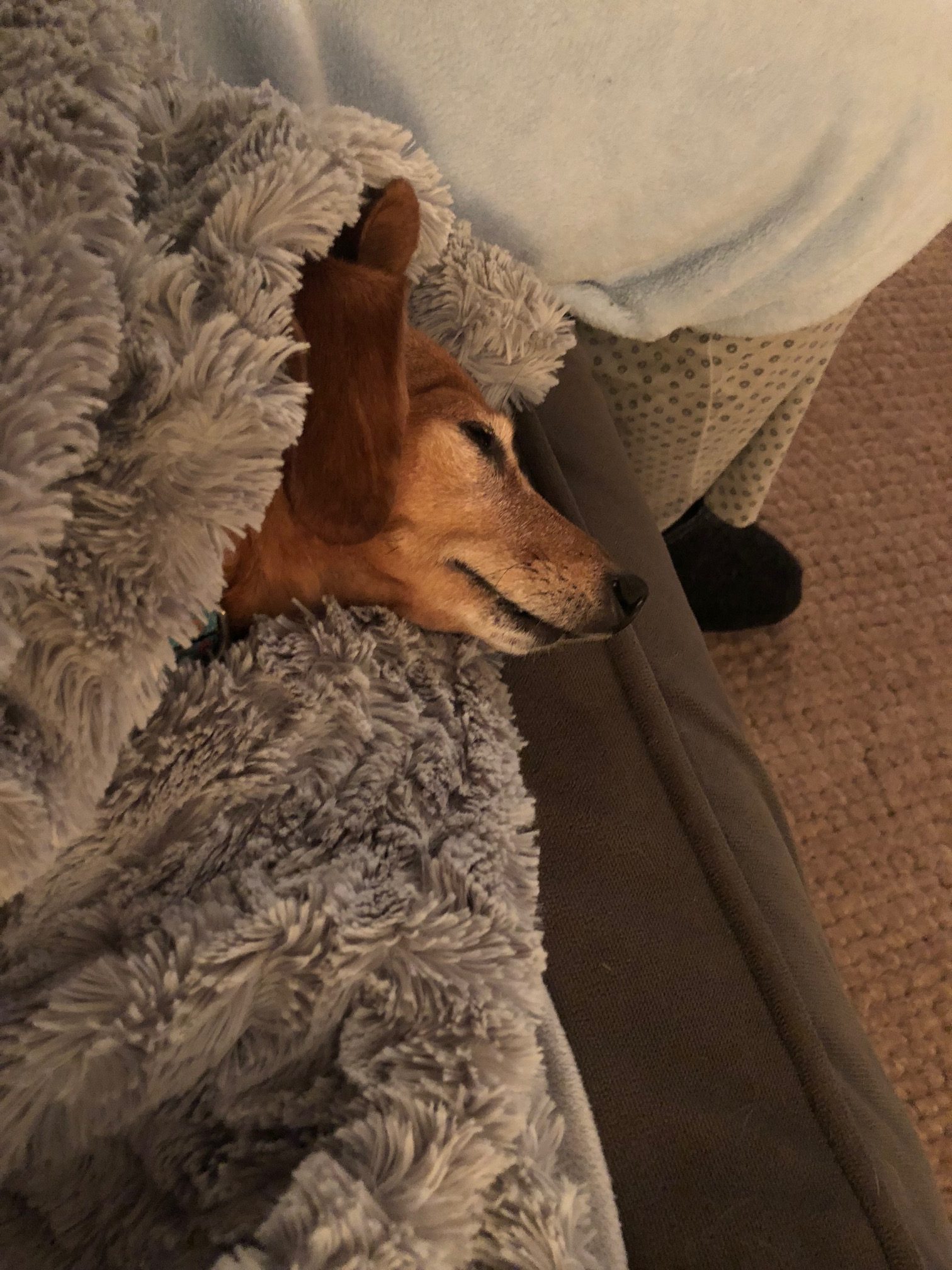 Sleep-overs
