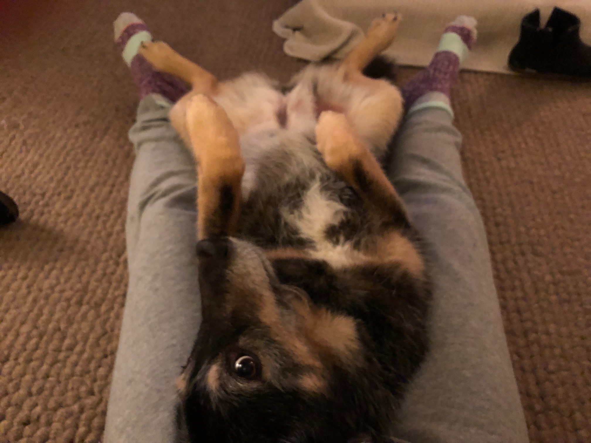 Sleep-overs