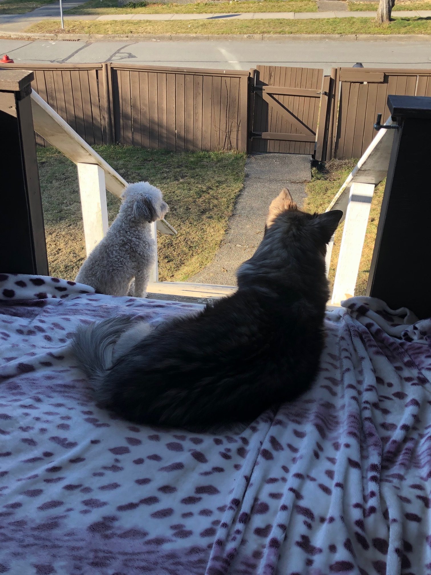 Sleep-overs