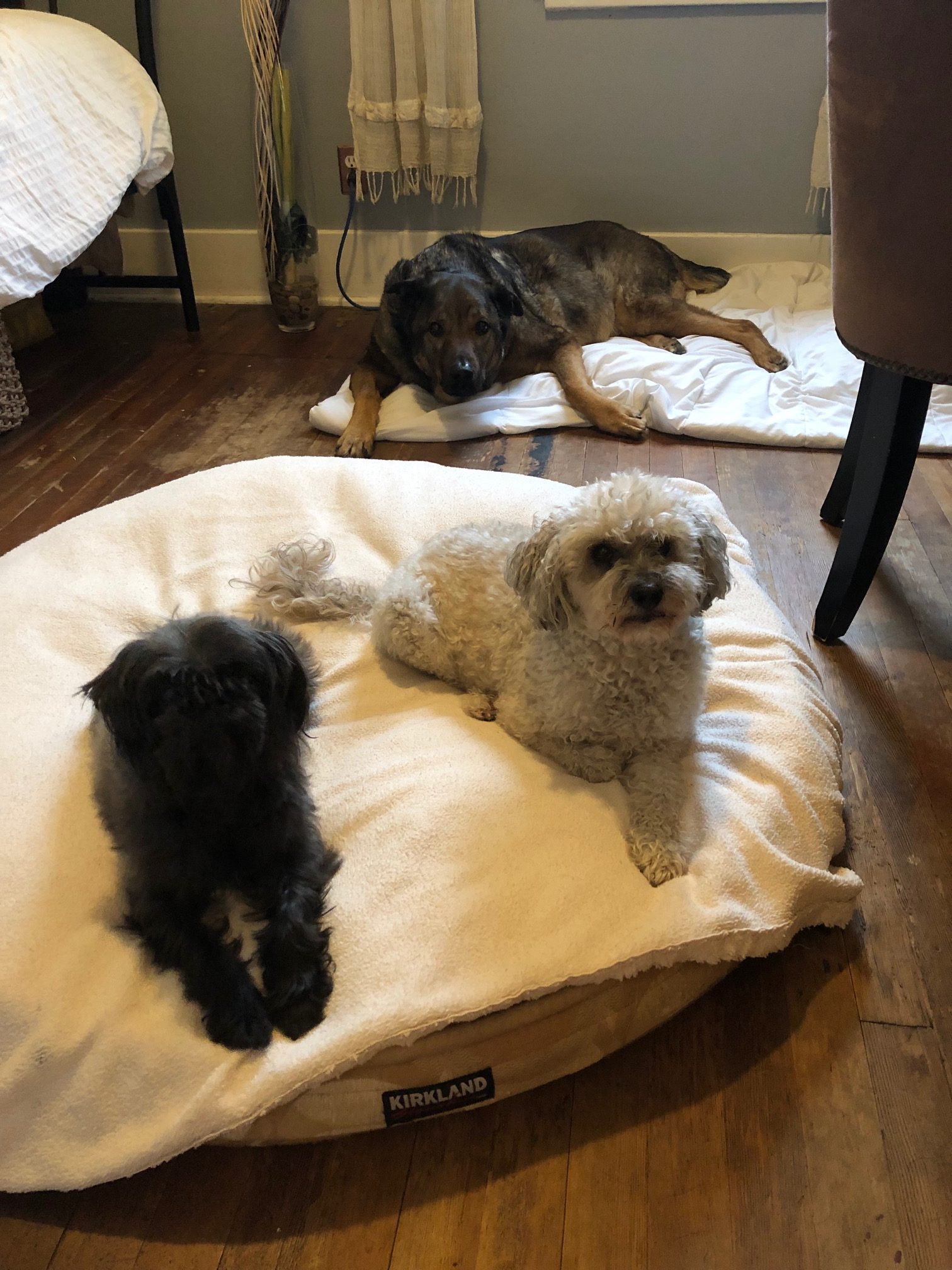 Sleep-overs