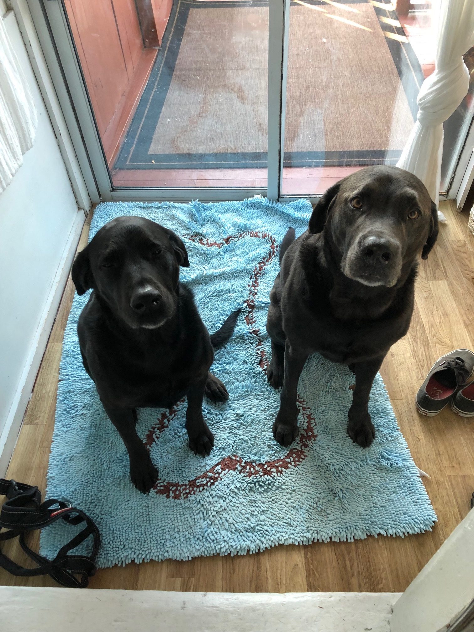 Sleep-overs