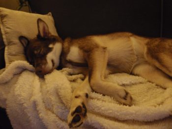 Sleep-overs