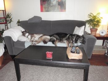 Sleep-overs
